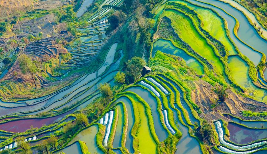 双台子区产品视频拍摄